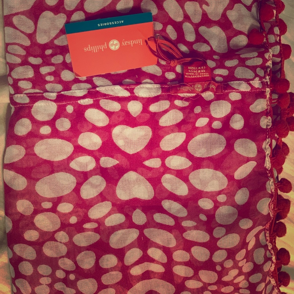 Lindsay Phillips infinity scarf.